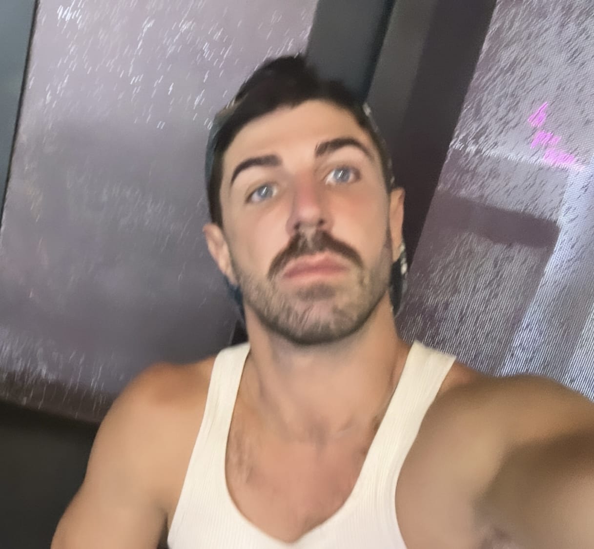 antnoraa : Cool - calm & collected