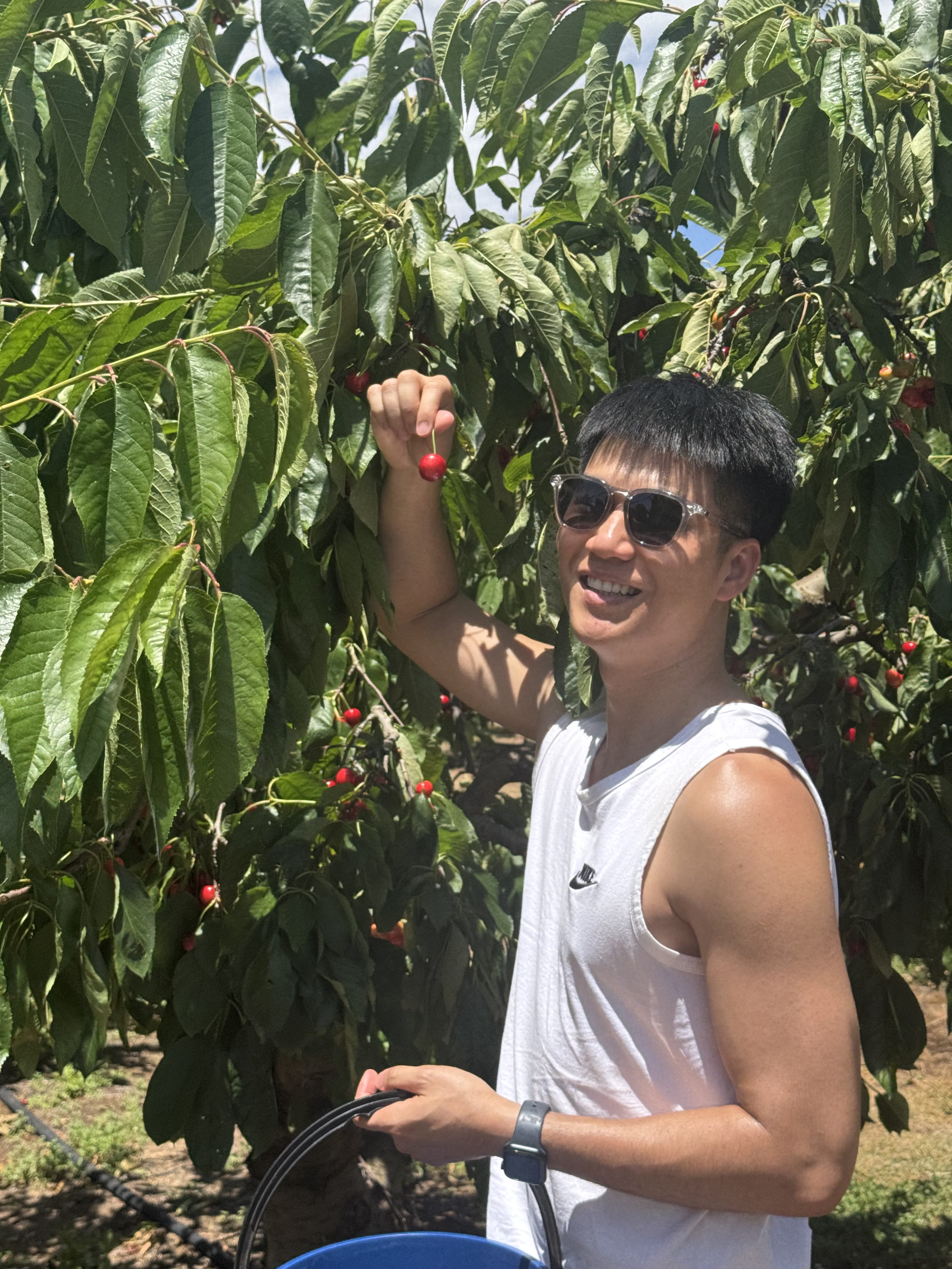 profile image 6 for Asianguyyy in Marrickville : Professional Bodywork