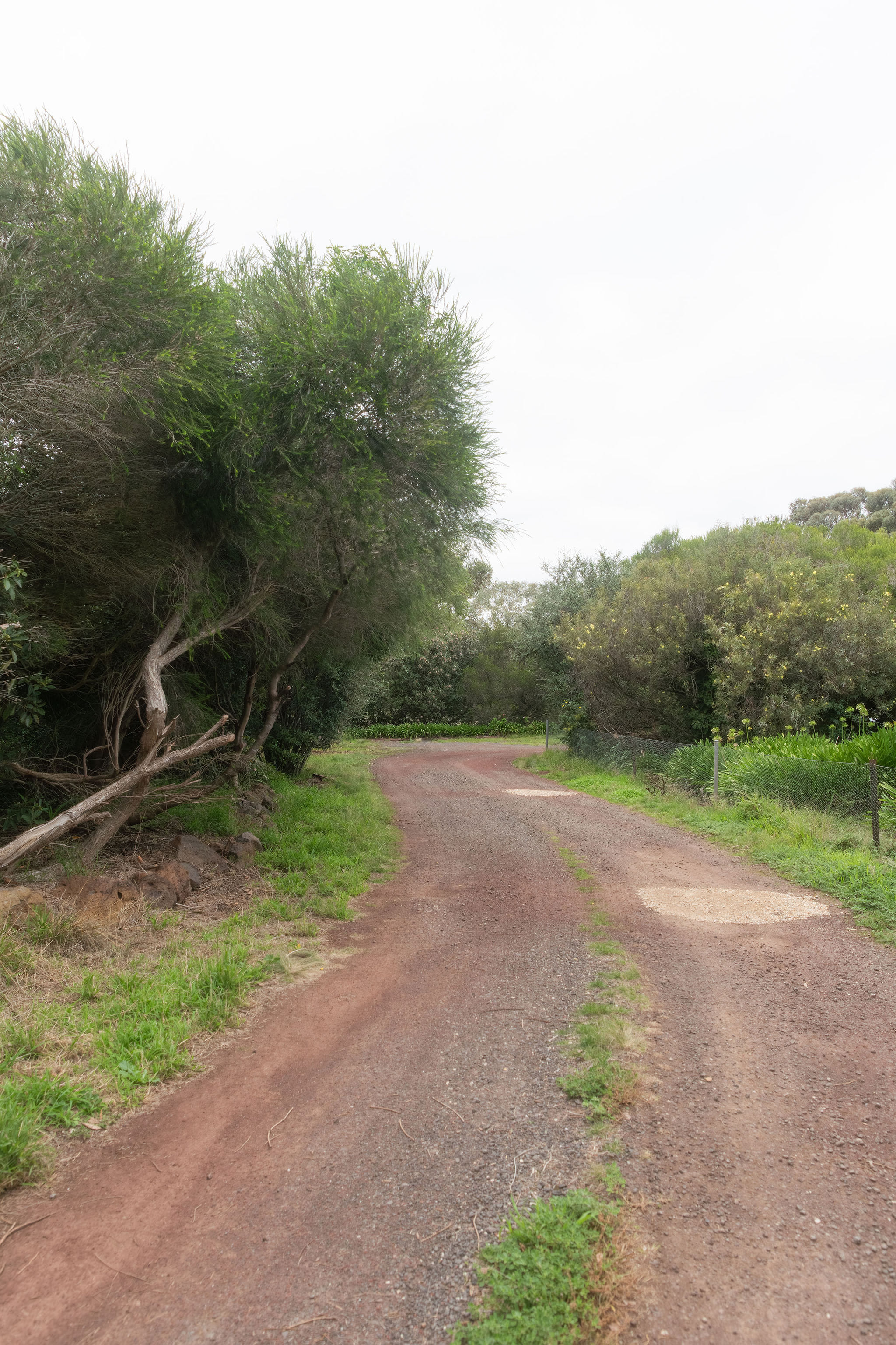 profile image 7 for Beaus Ranch in Sunbury : Relaxation Bodywork