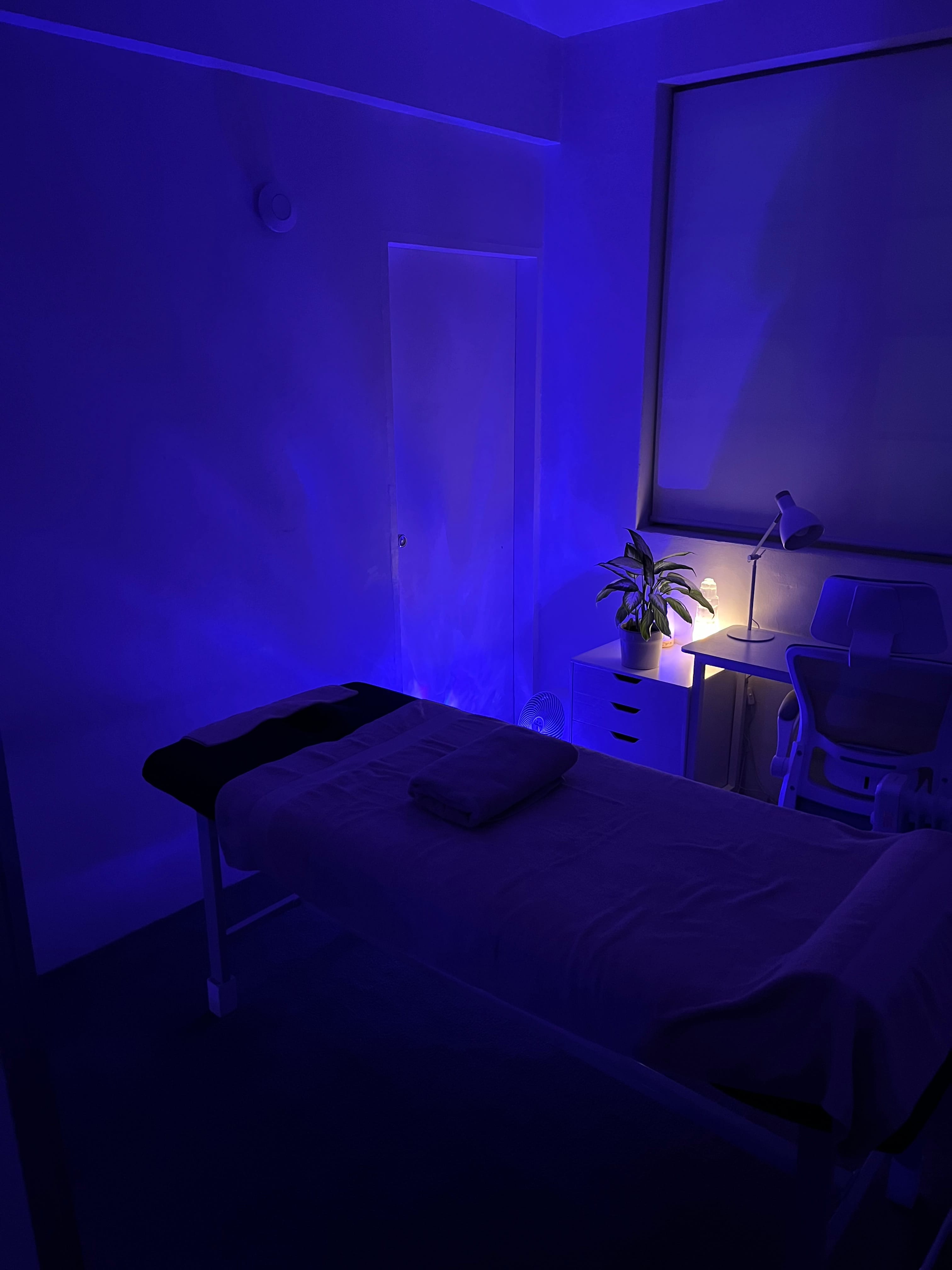 Bodywork Therapist