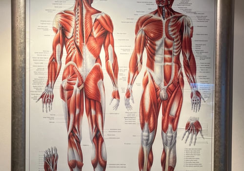 profile image for Manatomy in Surry Hills : Mon -Fri —3:00pm-9:00 pm W/ends9:00 am - 9:00pm