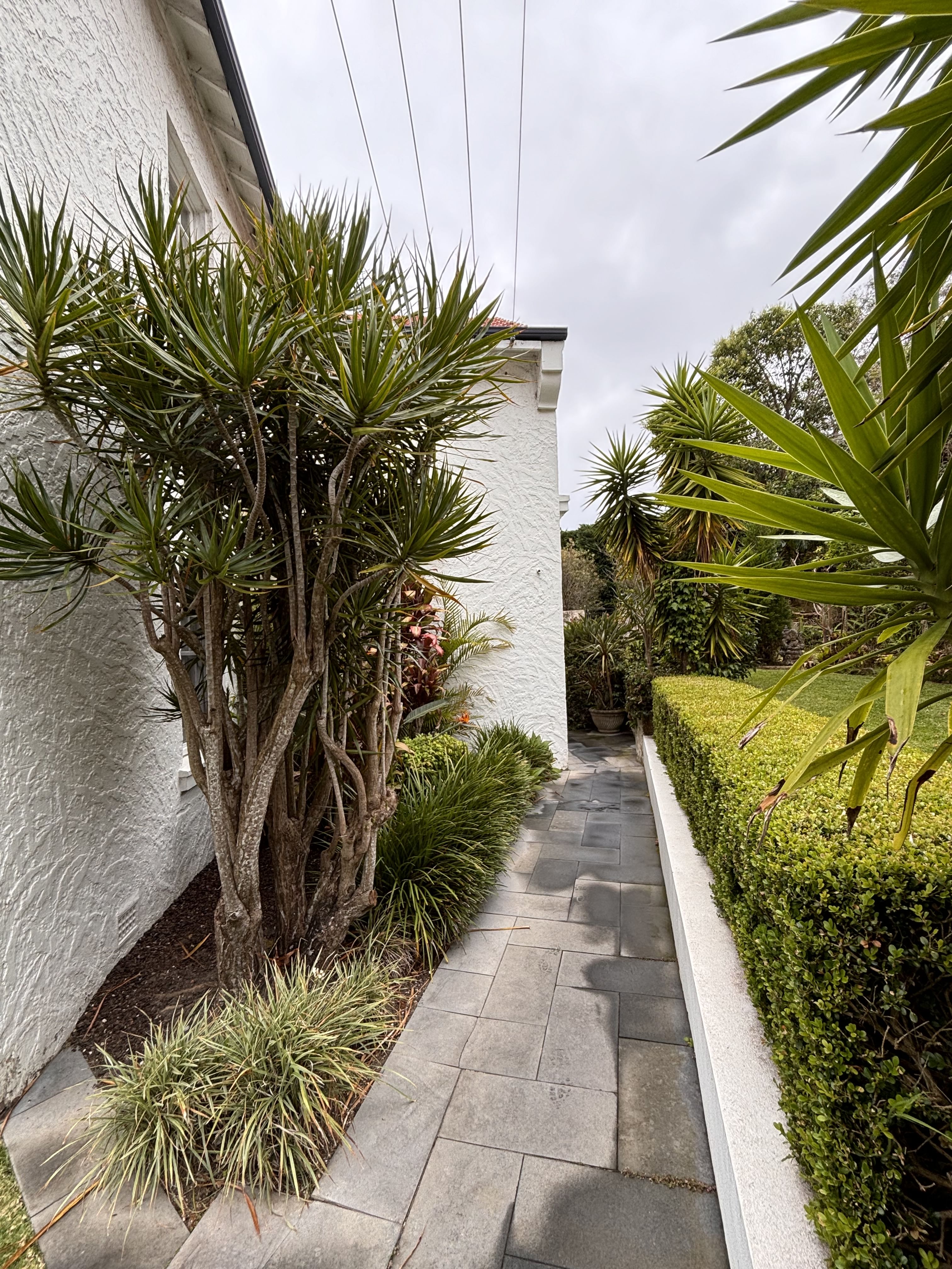 profile image for MASSAGE4ALL in Mosman  : QUALIFIED, FEEL GREAT TODAY! 