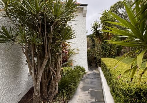 profile image for MASSAGE4ALL in Mosman  : QUALIFIED, FEEL GREAT TODAY!