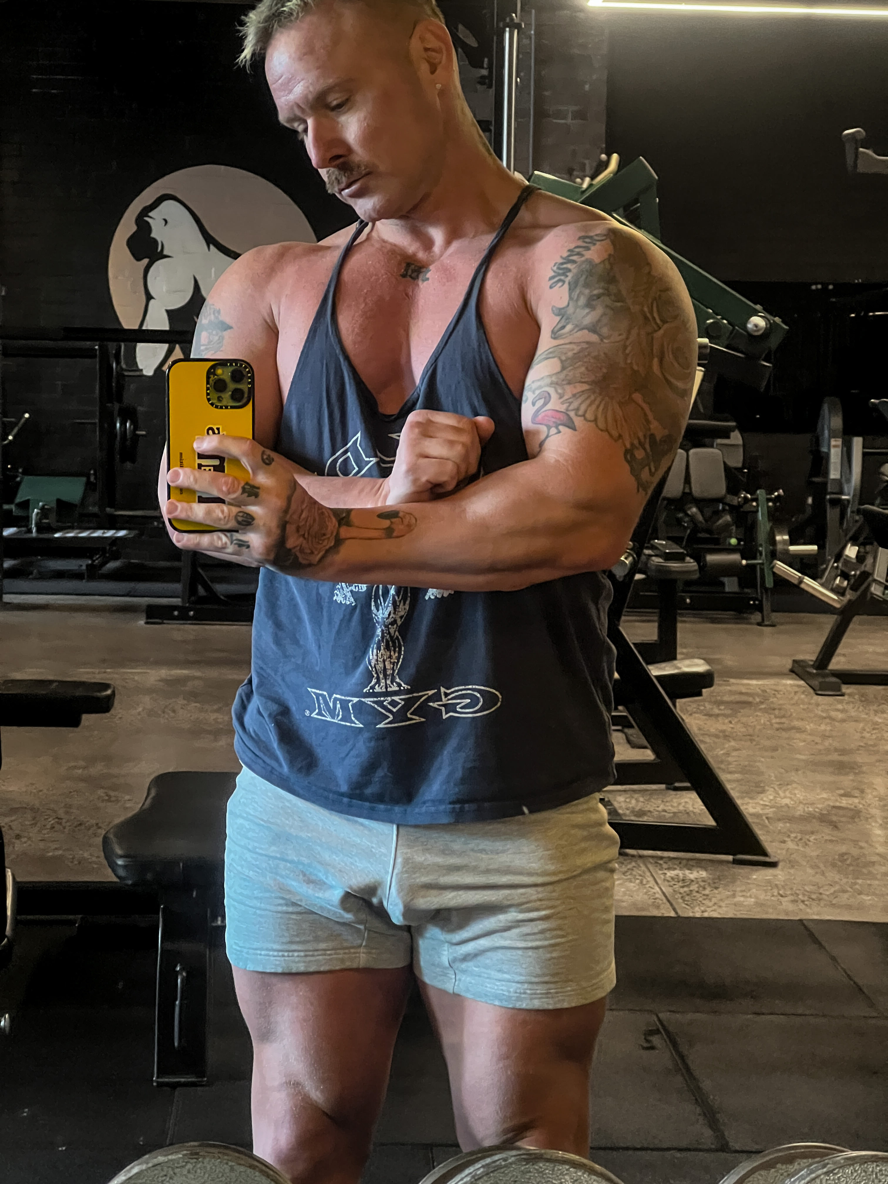 profile image for MathewMason in Windsor  : Melbourne Muscle Man