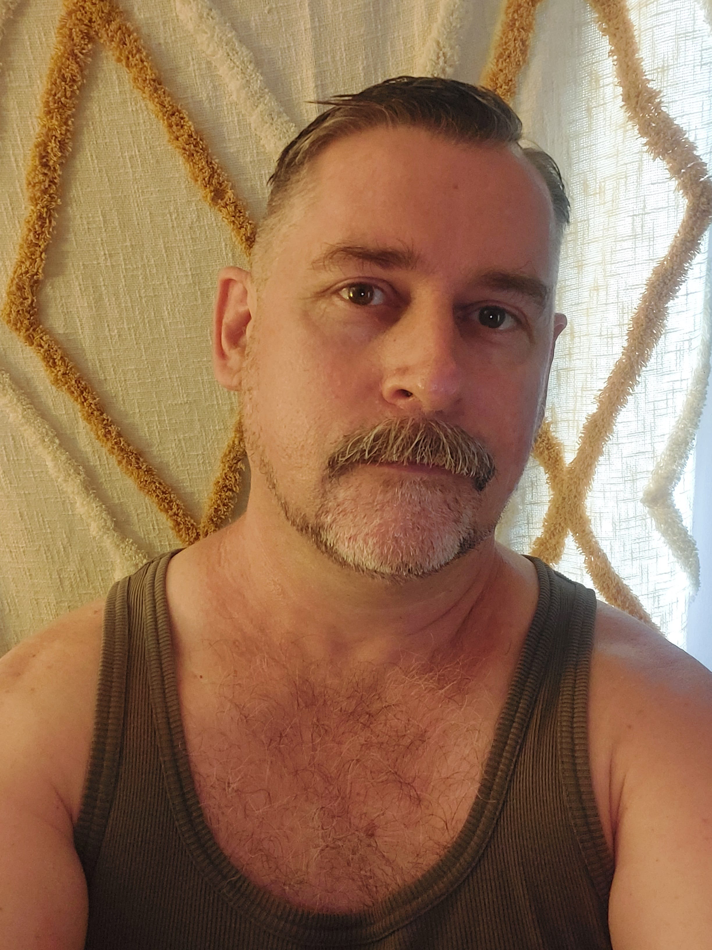 profile image for The Body Mechanic in Brisbane : Damo the Body Mechanic